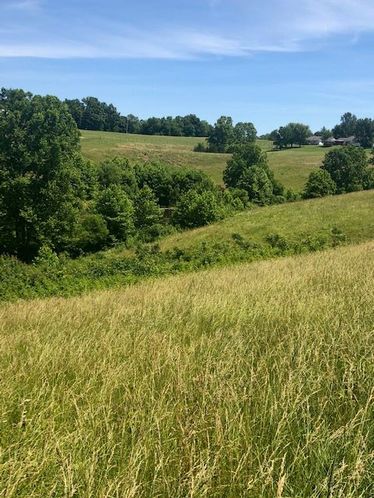 1915 Mount Zion Rd, Frankfort, KY 40601